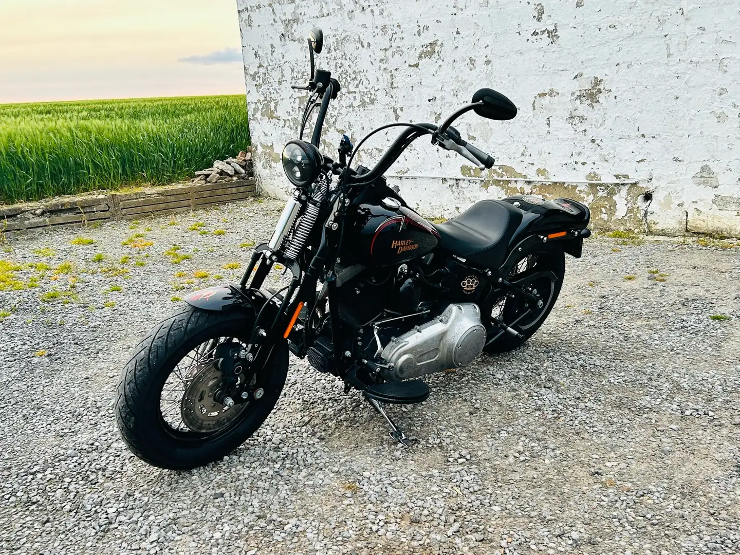 Harley-Davidson Softail cross bones springer Fekete - 2