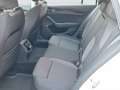Skoda Octavia Ambition TDI Weiß - thumbnail 15