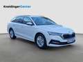 Skoda Octavia Ambition TDI Weiß - thumbnail 6
