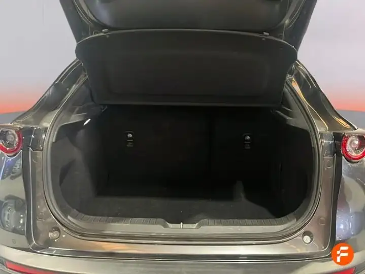 Mazda CX-30 SKYACTIV-X 2.0 AWD AT Zenith 2019, foto 10