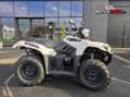 Kawasaki Brute Force 650 450CC Blanc - thumbnail 1