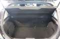 Ford Fiesta 1.0 EcoBoost Titanium Navi/Kamera/Sitzh/PDC/8 Fach Grau - thumbnail 10