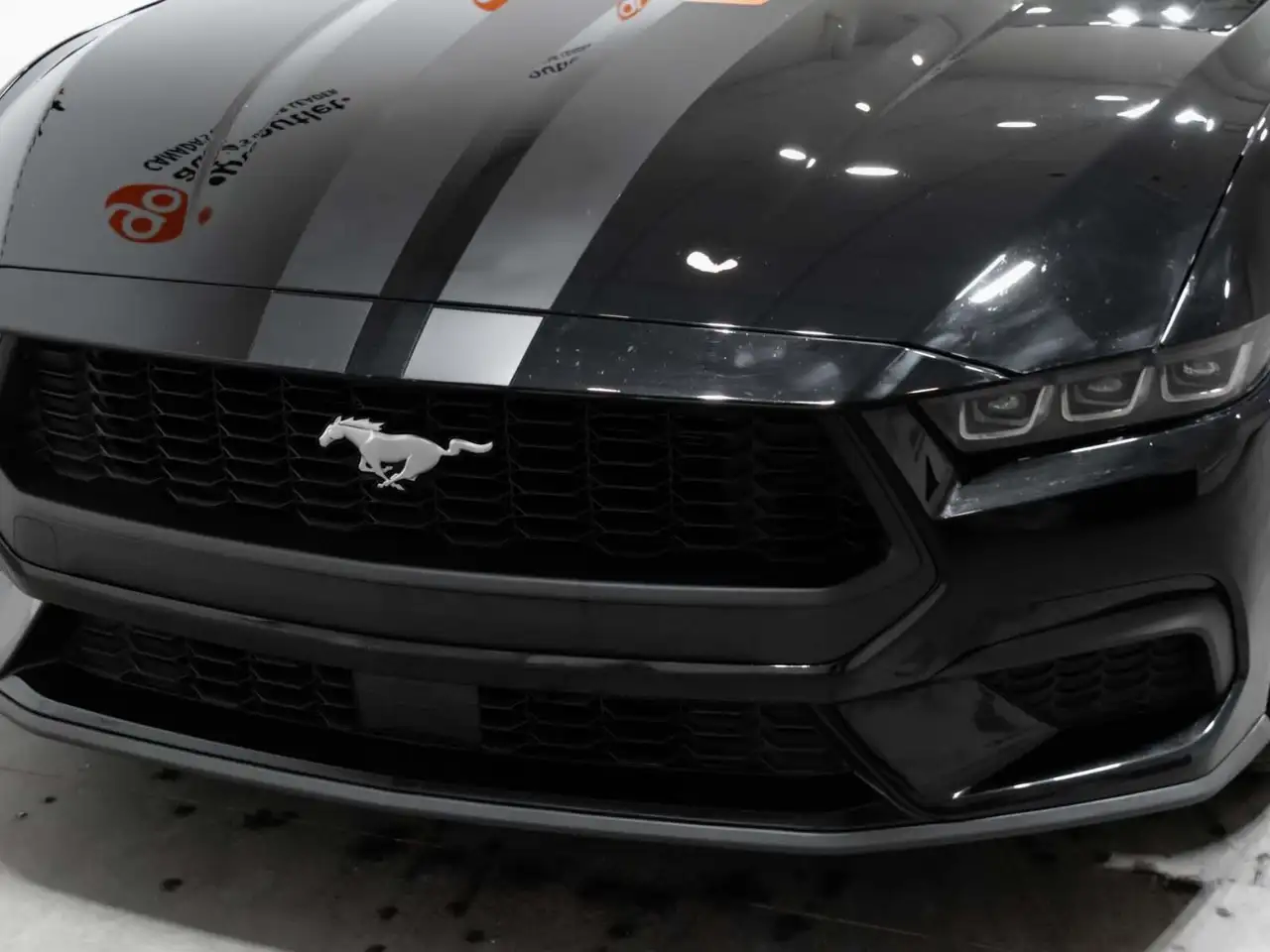 Ford Mustang photo Ford Mustang