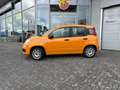 Fiat Panda Easy Nichtraucher/Klimaanlage/ABS Oranje - thumbnail 2
