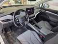 Skoda Enyaq 80 Weiß - thumbnail 5