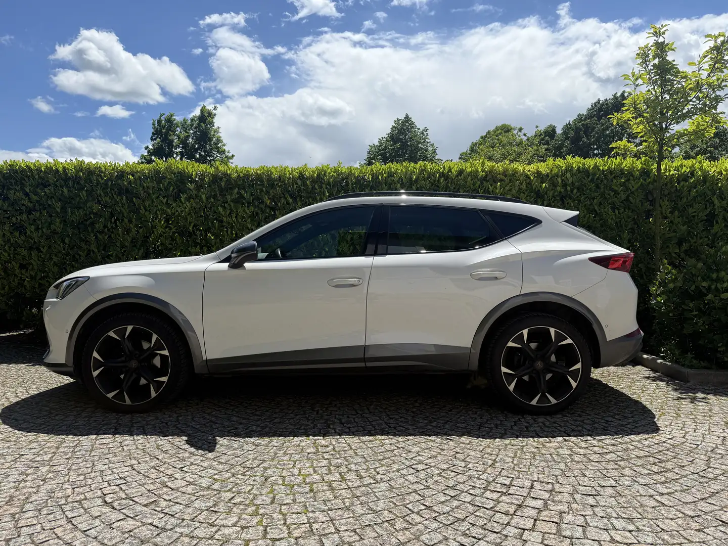 CUPRA Formentor 2.0 tdi 4drive 150cv dsg - 1