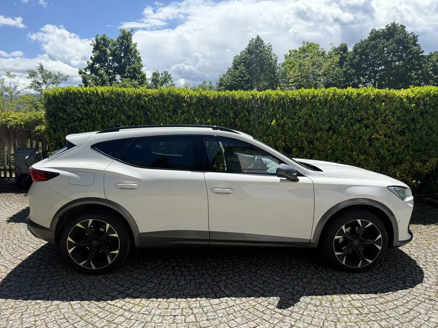 CUPRA Formentor 2.0 tdi 4drive 150cv dsg - 2