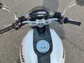 Ducati Monster 696 PLUS - UNICO PROPRIETARIO Alb - thumbnail 4