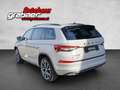 Skoda Kodiaq Sportline 4x4 Gris - thumbnail 3