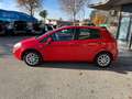 Fiat Punto Evo Rosso - thumbnail 2
