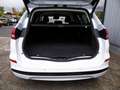 Ford Mondeo Titanium Hybrid LED-Scheinw.+Vollleder Klima Navi White - thumbnail 9