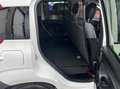 Fiat Panda Van 1.0 hybrid Pop 70cv 2p.ti serie 4 E6d Blanc - thumbnail 13