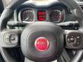 Fiat Panda Van 1.0 hybrid Pop 70cv 2p.ti serie 4 E6d Blanc - thumbnail 15