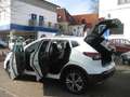 Nissan Qashqai 1.3 N-Connecta/Klima/Pano/Kamera/AHK Bianco - thumbnail 9