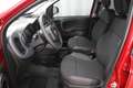 Fiat Panda RED Hybrid 1.0 GSE 51kw (70PS),  Komfort-Paket ... Rouge - thumbnail 8