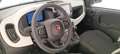 Fiat Panda 1.0 70cv Hybrid Panda Rosso - thumbnail 9