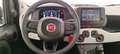 Fiat Panda 1.0 70cv Hybrid Panda Rosso - thumbnail 12