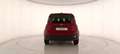 Fiat Panda 1.0 70cv Hybrid Panda Rosso - thumbnail 5