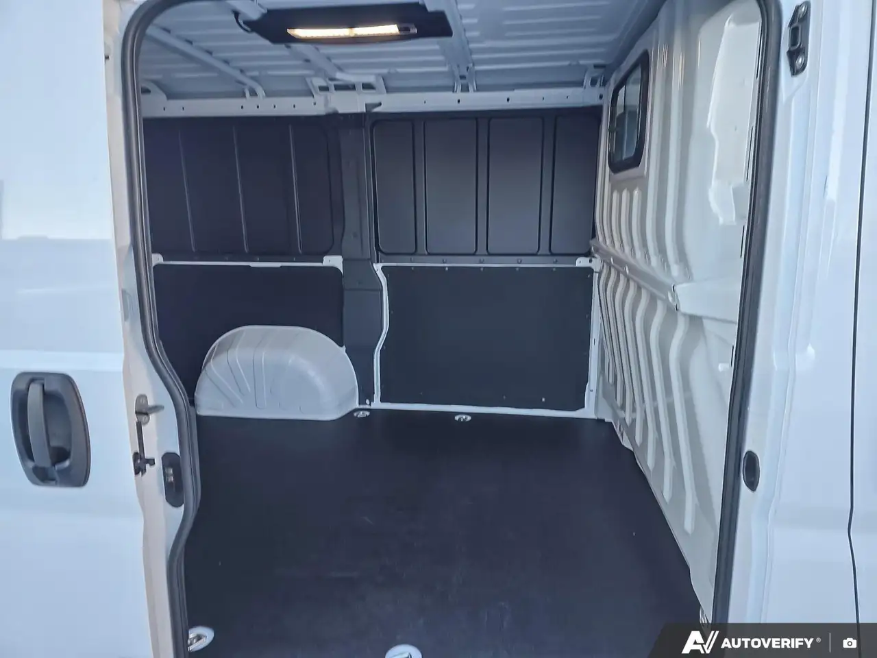 RAM Promaster снимка RAM Promaster