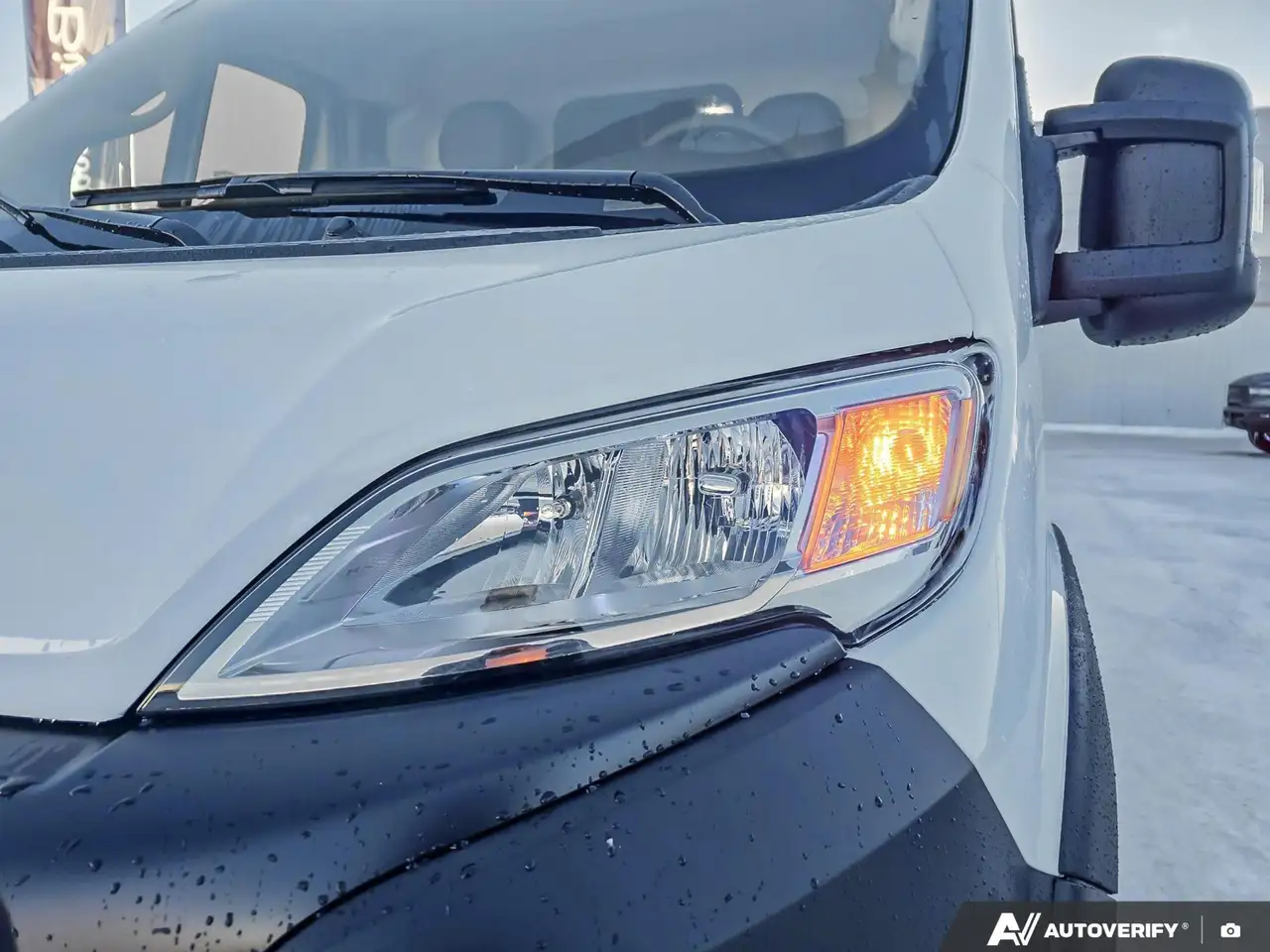 RAM Promaster снимка RAM Promaster
