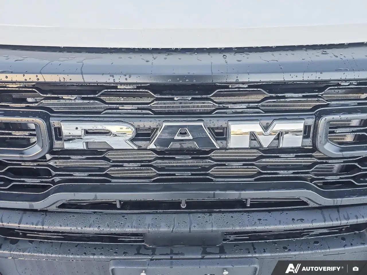 RAM Promaster снимка RAM Promaster