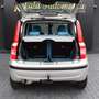 Fiat Panda 1.2 8V Dynamic KLIMA RADIO SERVO AUTOMATIK Silber - thumbnail 19