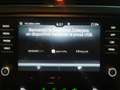 Skoda Octavia Wagon 1.4 tsi g-tec Executive  Unicoproprietario Weiß - thumbnail 15