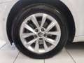 Skoda Octavia Wagon 1.4 tsi g-tec Executive  Unicoproprietario Weiß - thumbnail 17