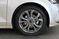 Ford Focus Focus 1.0 EcoBoost Hybrid 125 CV SW ST-Line Grigio - thumbnail 4