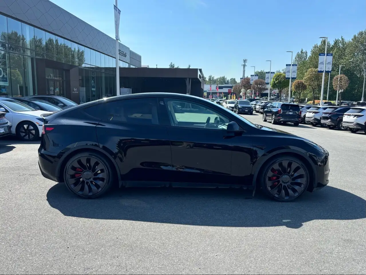 Tesla Model Y снимка Tesla Model Y