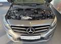 Mercedes-Benz B 220 4Matic AMG Line PANO+AHK+STAND+COM+LED+KAM Gris - thumbnail 12