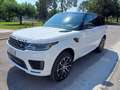 Land Rover Range Rover Sport 3.0 SDV6 249 CV HSE Dynamic Garanzia 24 mesi Blanc - thumbnail 7