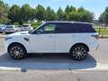 Land Rover Range Rover Sport 3.0 SDV6 249 CV HSE Dynamic Garanzia 24 mesi Blanc - thumbnail 6