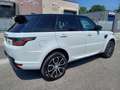 Land Rover Range Rover Sport 3.0 SDV6 249 CV HSE Dynamic Garanzia 24 mesi Blanc - thumbnail 4