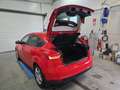 Ford Focus 1,0 EcoBoost Trend Rot - thumbnail 9