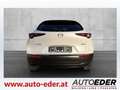 Mazda CX-30 e-Skyactive G140 Exclusive-Line Aut. Weiß - thumbnail 6