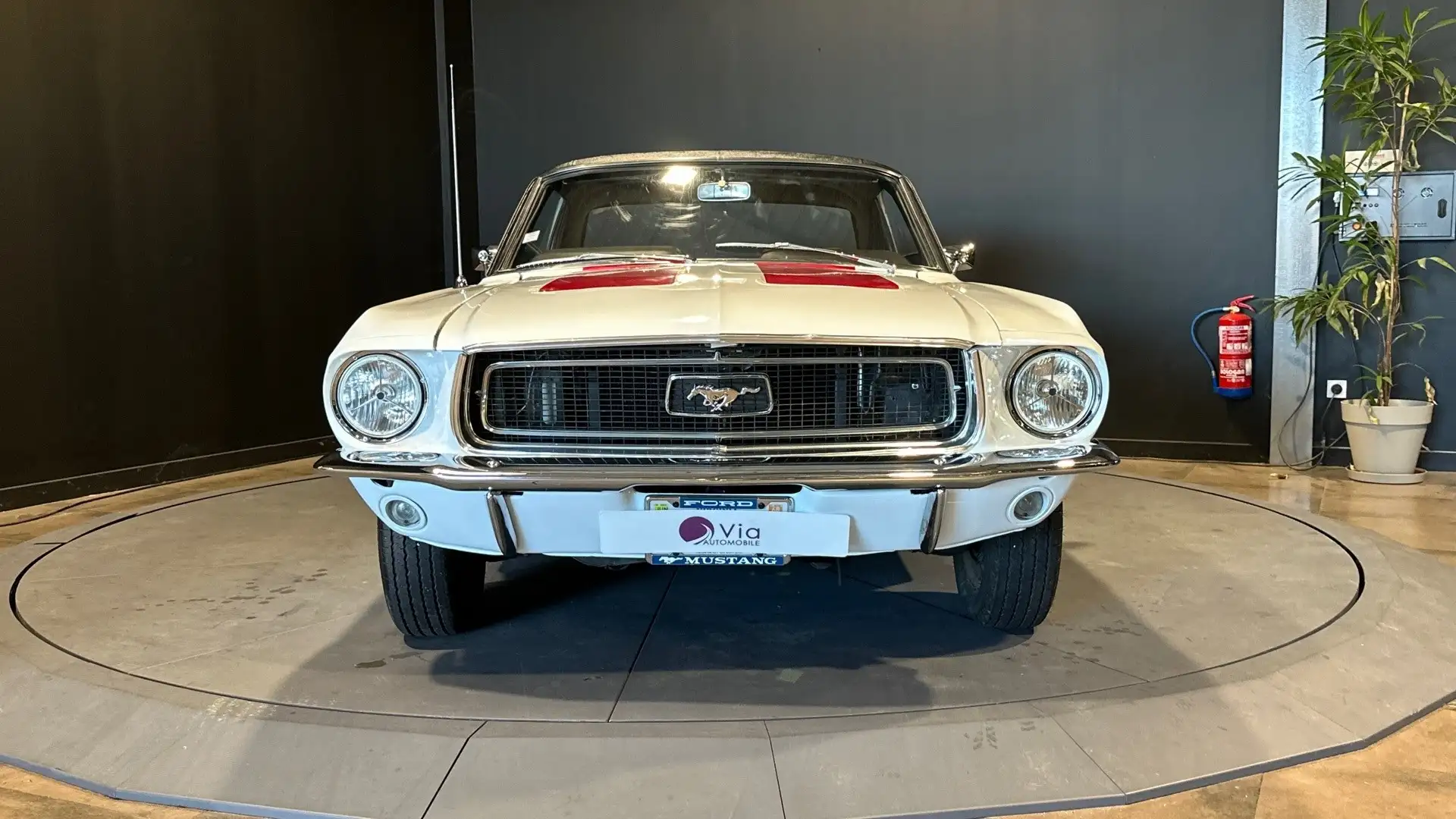 Ford Mustang L200 Ci 3.3 Code T 6 cylindres Weiß - 2