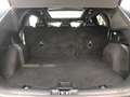 Ford Kuga 547 Kuga 2.5 Duratec PHEV Hybrid ST-Line X Blau - thumbnail 14