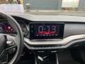 Skoda Octavia Combi RS 4x4 2.0 TDI+Alufelgen+Navi+Klimaautomatik Blau - thumbnail 11