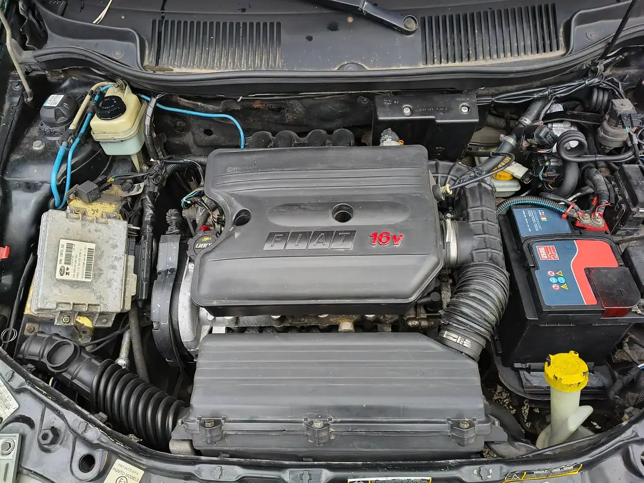 Fiat Punto Cabrio 1.2 16v ELX, foto 6
