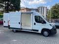 Fiat Ducato BOXER HDI ***FRIGO (FNAX) 0° - ATP RINNOVATO Blanc - thumbnail 13