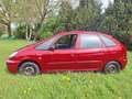 Citroen Xsara Picasso 1.6 HDi 92 Czerwony - thumbnail 4