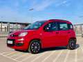 Fiat Panda Panda 1.2 My Rouge - thumbnail 6