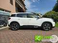 Citroen C5 Aircross 1.5 BlueHDi Aircross 131 CV Automatic Shine Bianco - thumbnail 7