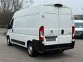 Peugeot Boxer 335 L2H2 BlueHDi 130 KLIMA SORTIMO AHK SHZ Blanc - thumbnail 7