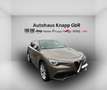 Alfa Romeo Stelvio First Edition Q4 2.0 Turbo Launch, Klimaautomatik, Gris - thumbnail 2