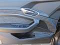 Audi e-tron 50 quattro S line Grau - thumbnail 42