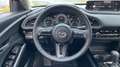 Mazda CX-30 2.5 e-Skyactiv-G Centre Line FWD Aut. 103kW Gris - thumbnail 14