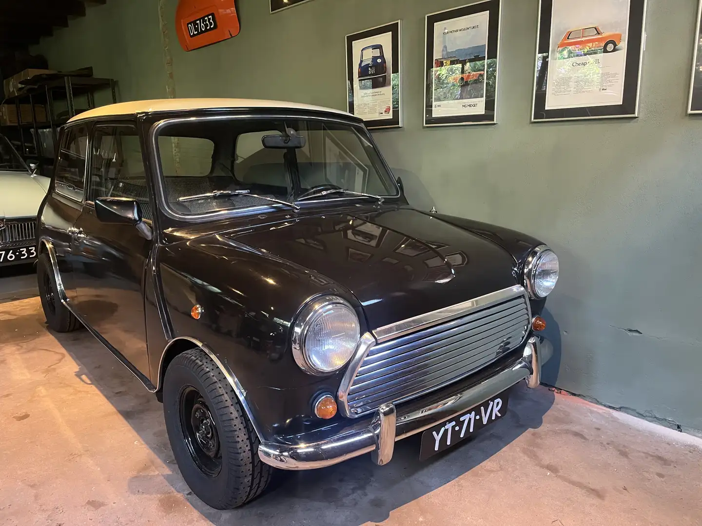 MINI 1000 Brun - 1