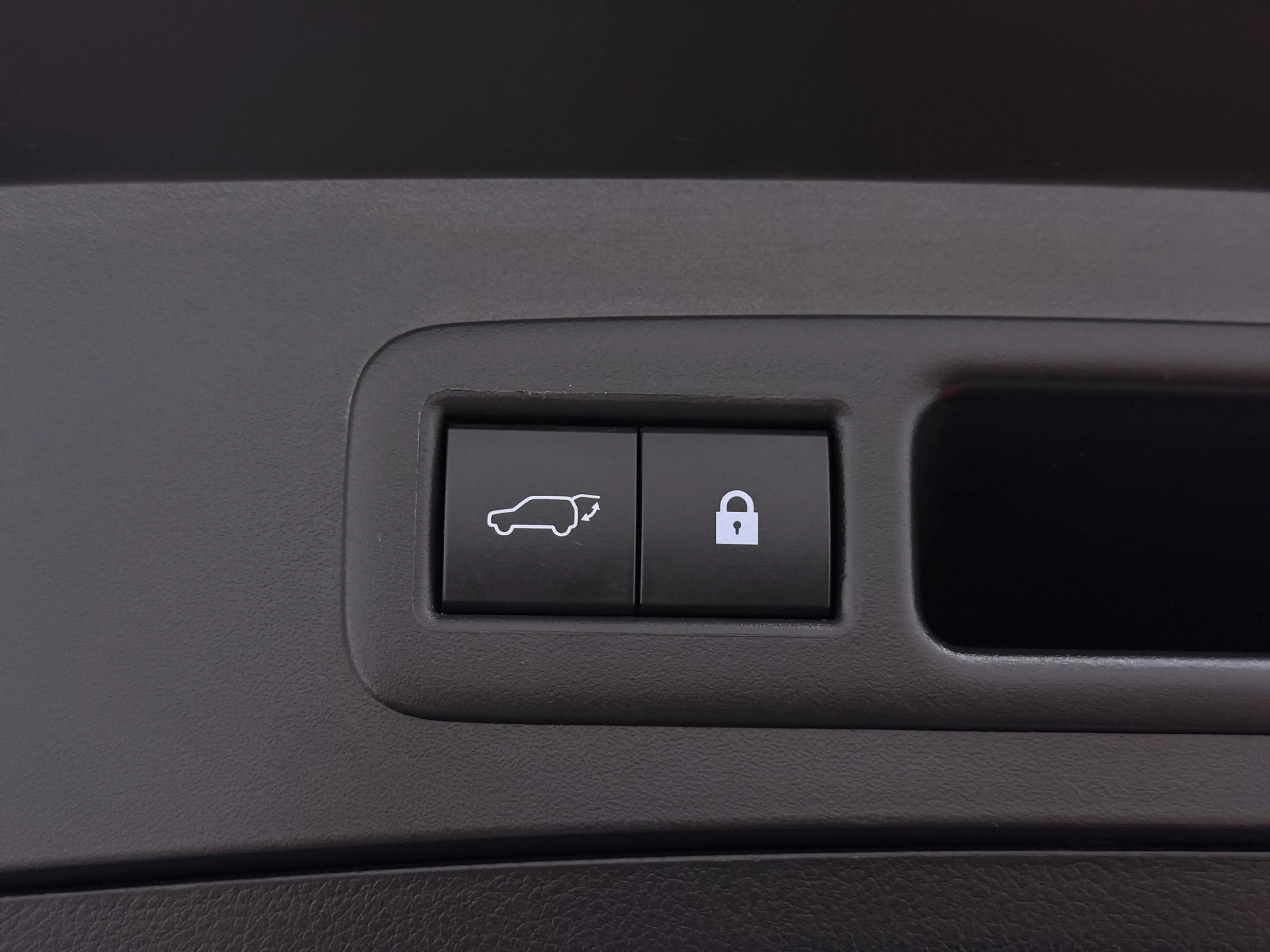 Lexus UX 250h Executive Line | President Pack | Mark Levinson | — photo 8